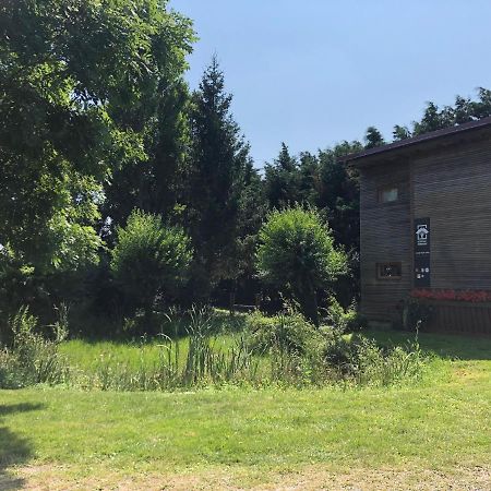 Le Domaine Des Zoiseaux - Lddz Des Flandres Villa Vieux-Berquin Buitenkant foto