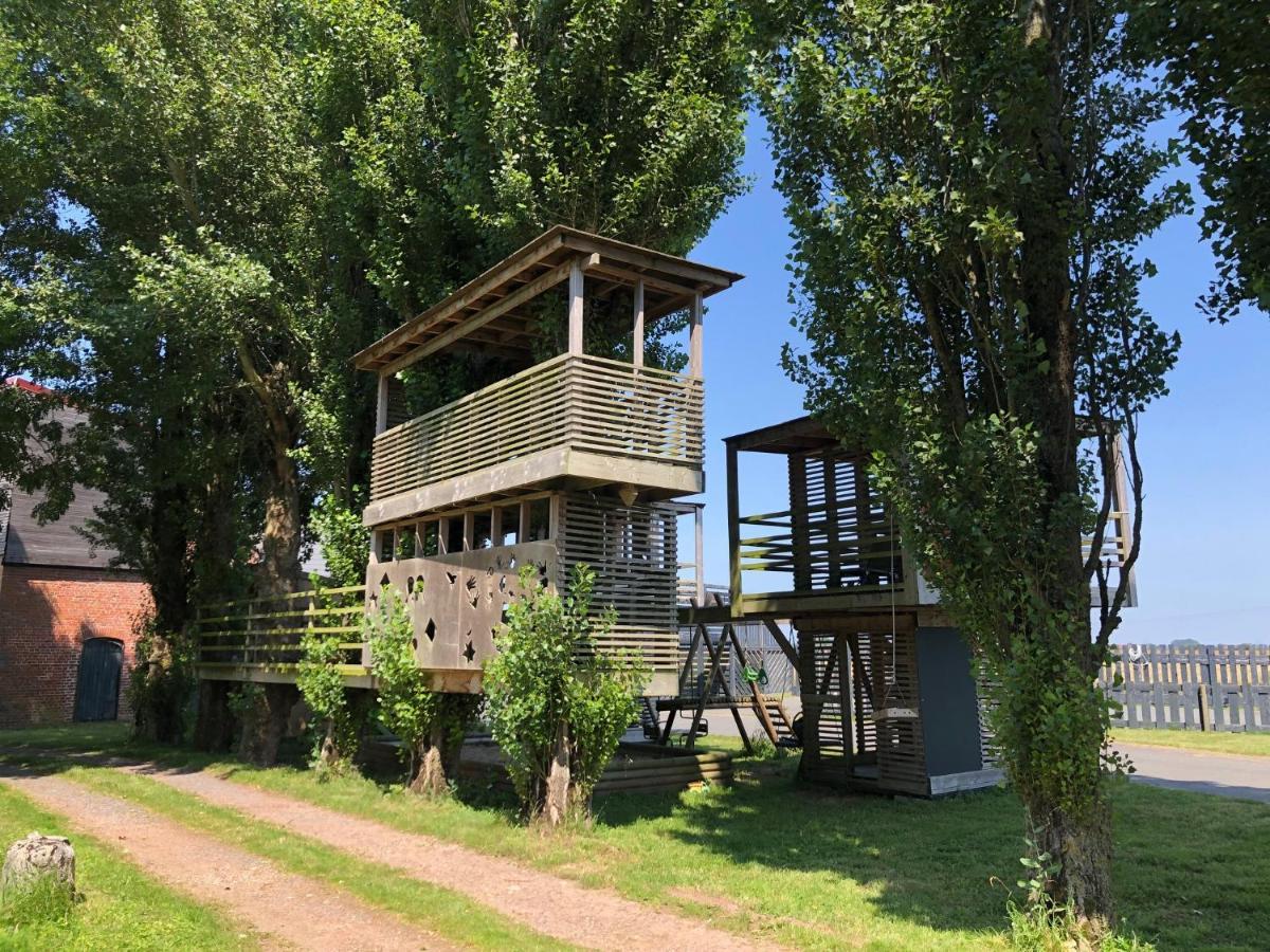 Le Domaine Des Zoiseaux - Lddz Des Flandres Villa Vieux-Berquin Buitenkant foto